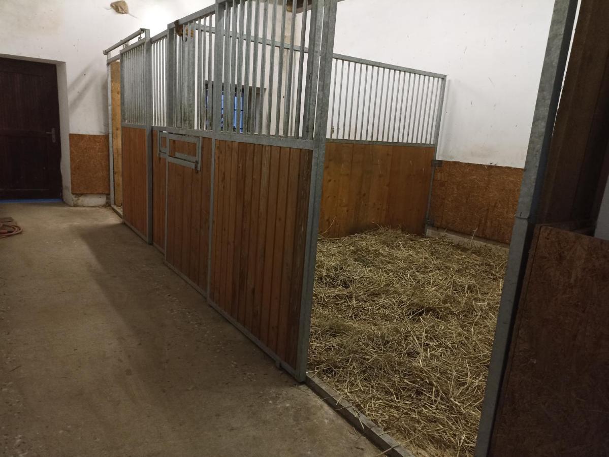Appartamento Statek Stranovice Malenitz Esterno foto